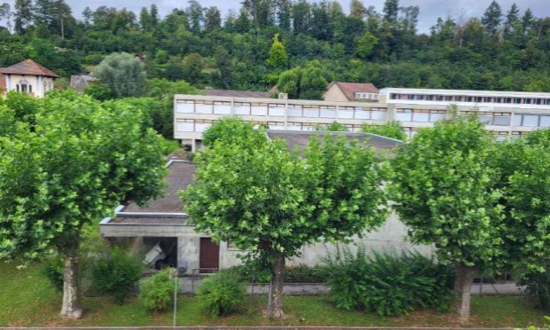 Petition : NON à l'abattage des 30 platanes du collège Stockmar !