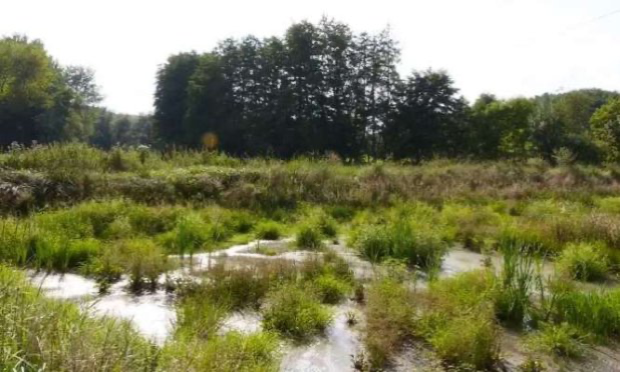 Petition : Absurdité de l'emplacement projeté pour un nouveau cimetière à Avanne-Aveney (25) !