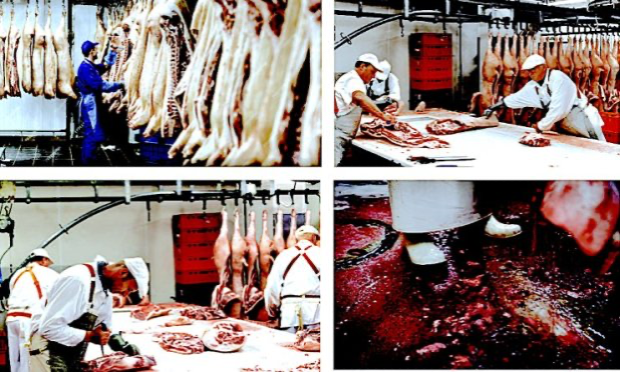 Petition : A Beaumont Lès Valence 26760 : non à une entreprise de boucherie !
