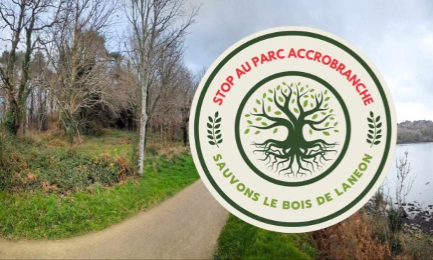 Petition : Sauvons le bois de Lanéon : stop au parc accrobranche !