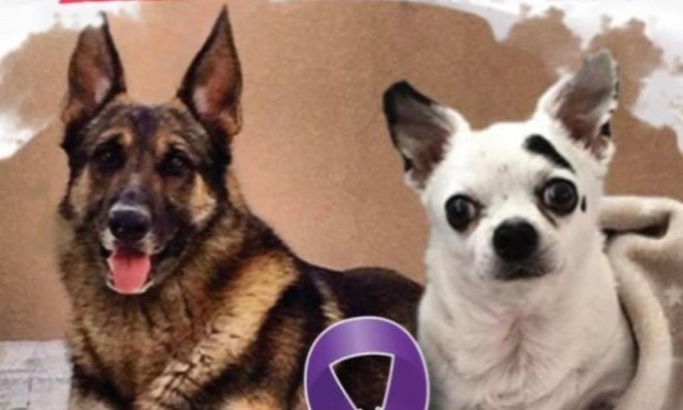 Petition : Arrêt du librela sur les chiens