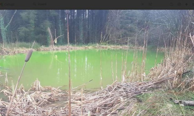 Petition : Décès de ma jument : stoppons la pollution à Noues de Sienne !