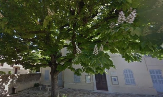 Petition : Non à l’abattage du marronnier de la bibliothèque (ancienne école) de Peymeinade ! prévu entre le 3 et 28 févier savons le !