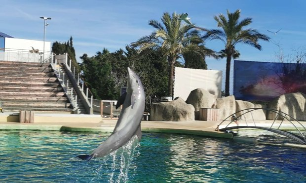 Petition : Pétition très urgente les soigneurs et soigneuses demende la réouverture du Marineland nous pouvons pas laisser nos 4000 milles animaux sur leurs sort