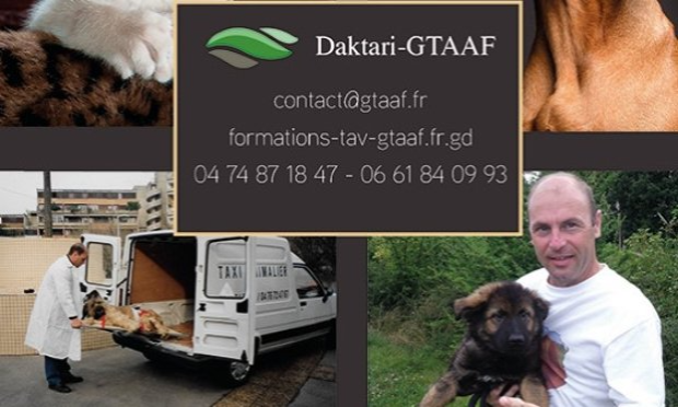 Petition : Changement des conditions de vie des chiens et chiots en France