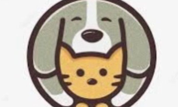 Petition : Pour une formation obligatoire pour adopter un animal !