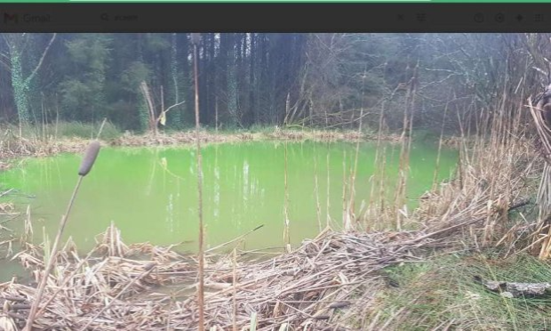 Petition : Décès de ma jument : stoppons la pollution à Noues de Sienne !