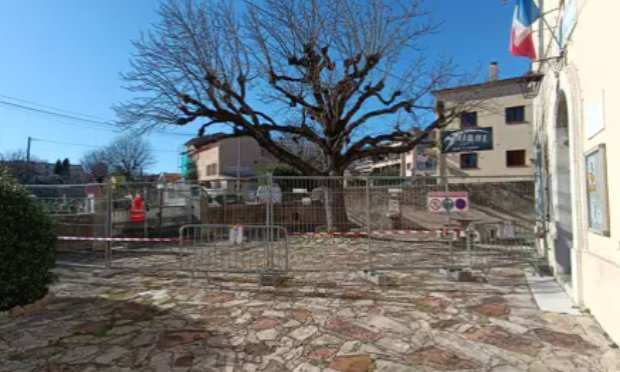 Petition : Non à l’abattage du marronnier de la bibliothèque (ancienne école) de Peymeinade ! prévu entre le 3 et 28 févier savons le !