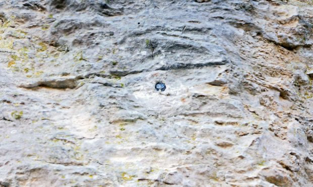 Petition : NON AU DÉSÉQUIPEMENT INFONDÉ DU DÉSERT DES FROUSSARDS - VOUILLANDS
