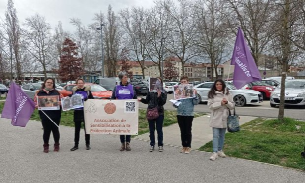 Petition : Mettons fin aux dérives des salons du chiot en France !