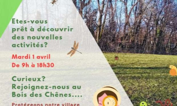 Petition : Protégeons le bois des chênes !