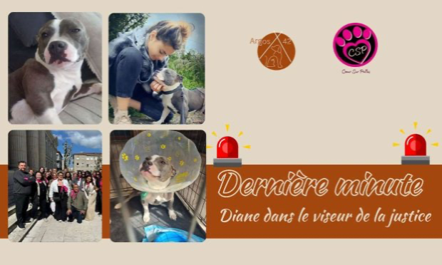 Petition : Justice for Riya, a victim of abuse, and support for Diane Gouhier