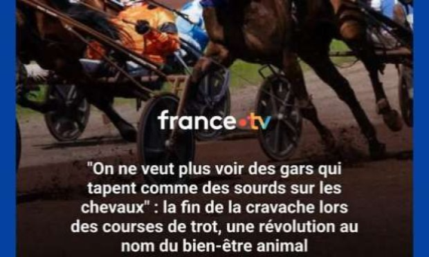 Petition : En marche vers une évolution radicale des droits des animaux en France