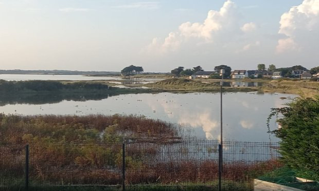 Petition : Non au projet d'élevage de Gambas sur la Rivière de Pénerf, protégeons notre environnement et sa zone humide !