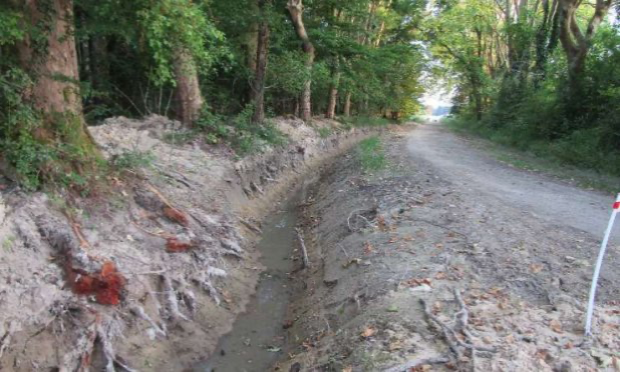 Petition : Pour la préservation des arbres !