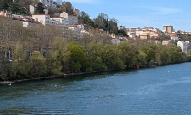 Petition : Danger : pollution atmosphérique et combustion plastique, bois sur les berges du Rhône