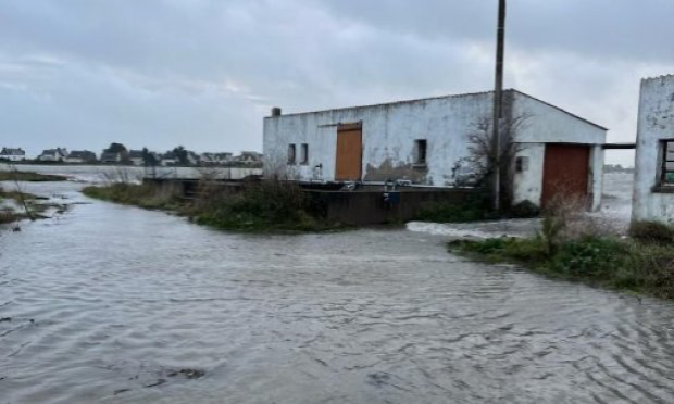 Petition : Non au projet d'élevage de Gambas sur la Rivière de Pénerf, protégeons notre environnement et sa zone humide !