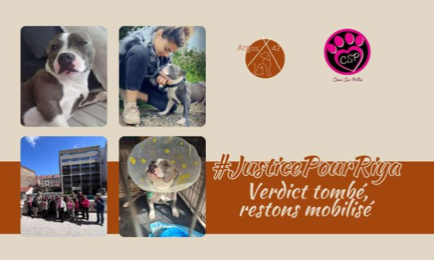 Petition : Justice for Riya, a victim of abuse, and support for Diane Gouhier