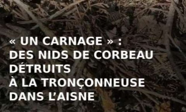 Petition : En marche vers une évolution radicale des droits des animaux en France