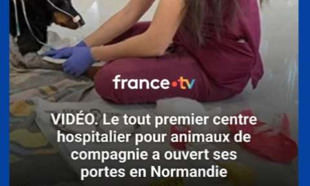 Petition : En marche vers une évolution radicale des droits des animaux en France