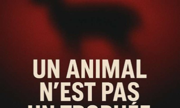 Petition : Floutage automatique des animaux abattus par les chasseurs sur les réseaux sociaux
