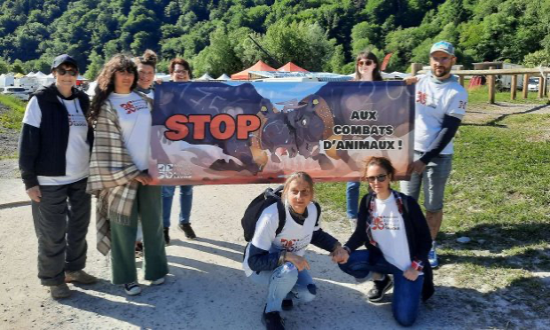 Petition : Interdisons les combats de vaches hérens ('batailles de reines') !