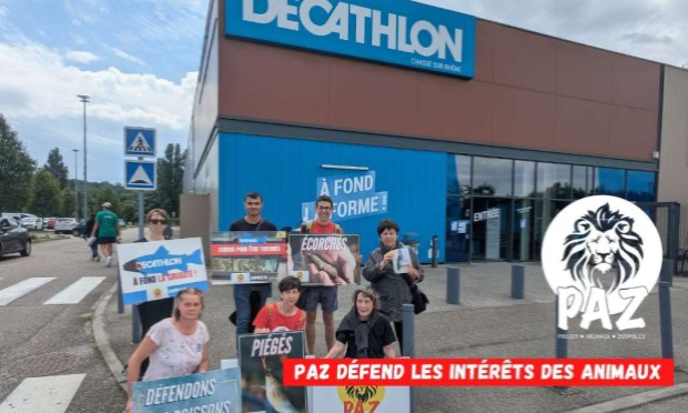 Petition : Decathlon Dijon - Quetigny doit arrêter de vendre des poissons qui seront torturés