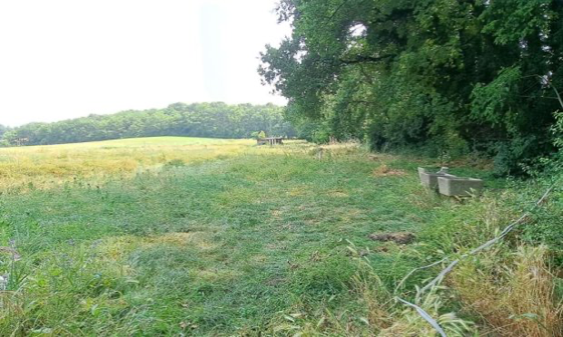 Petition : Pour la création d’un Centre de Réadaptation pour chien de refuge et d’un Parc Canin !