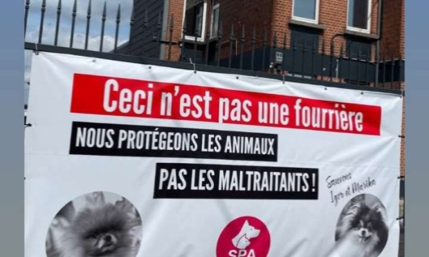 Petition : Restitution Igor et Marika