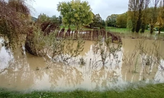 Petition : Non au projet d'aménagement de la mare aux canards à Chevreuse !