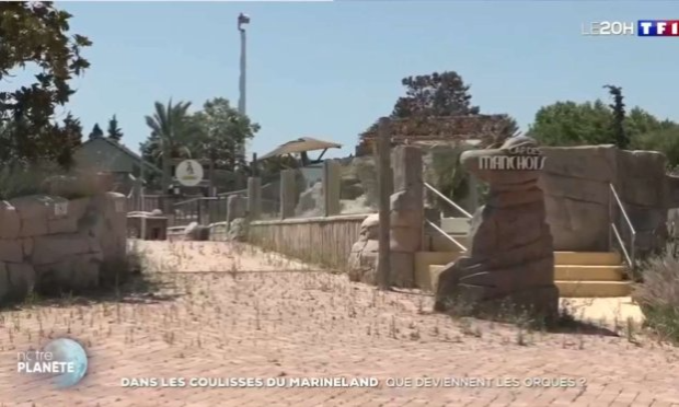 Petition : Il faut sauvez marineland pour le bien être des animaux dauphins orques otaries phoques requins pingouins manchots flamants poissons coraux extera pour la réouverture du parc emblématique 1970 dans le monde narins