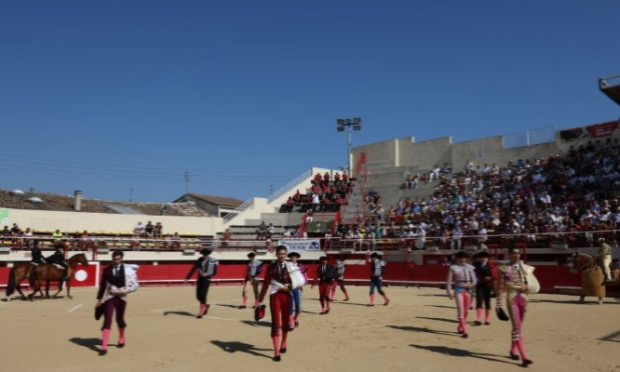 Petition : Pas de spectacle taurin avec mise à mort à Mauguio-Carnon