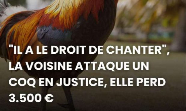 Petition : En marche vers une évolution radicale des droits des animaux en France