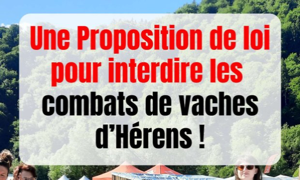 Petition : Interdisons les combats de vaches hérens ('batailles de reines') !