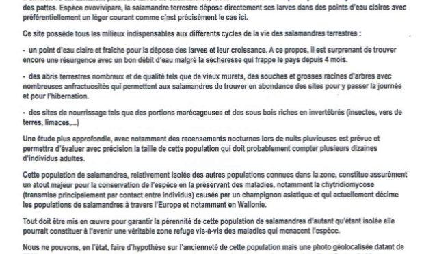 Petition : Sauvons l’habitat de la salamandre à Binche