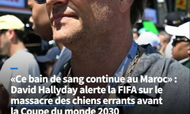 Petition : En marche vers une évolution radicale des droits des animaux en France
