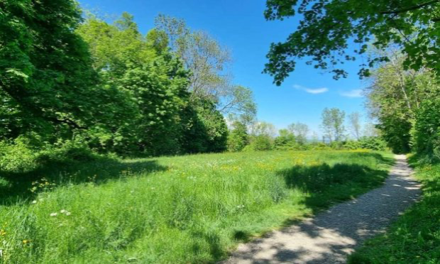 Petition : Protégeons le bois des chênes !