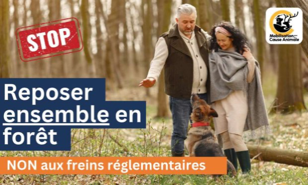 Petition : Ouvrons les forêts du souvenir à tous - animaux et humains !