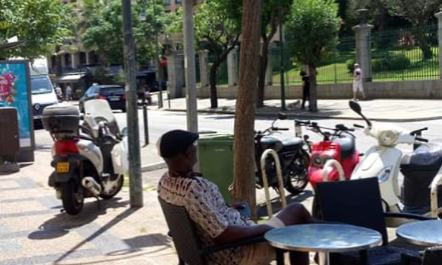 Petition : Monsieur le Maire d'Ajaccio, nous demandons des arbres pour l'ombre, la fraicheur, l'oxygène et la beauté nature sur le cours Napoléon.