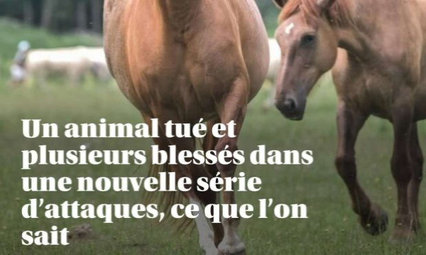 Petition : Chevaux, bovins mutilés en France : déploiement de l'armée dans les campagnes et fermeture des sites sataniques sur les réseaux sociaux