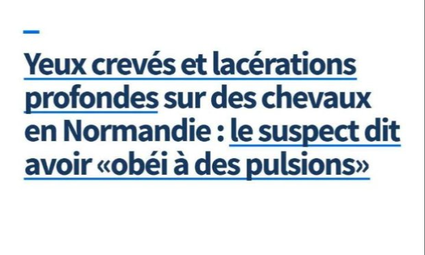 Petition : Chevaux, bovins mutilés en France : déploiement de l'armée dans les campagnes et fermeture des sites sataniques sur les réseaux sociaux