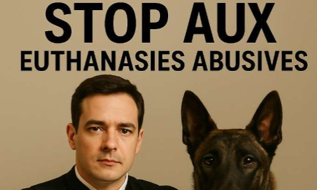 Petition : Alert the public authorities to the euthanasia of dogs in France!