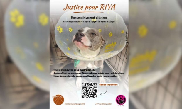 Petition : Justice for Riya, a victim of abuse, and support for Diane Gouhier