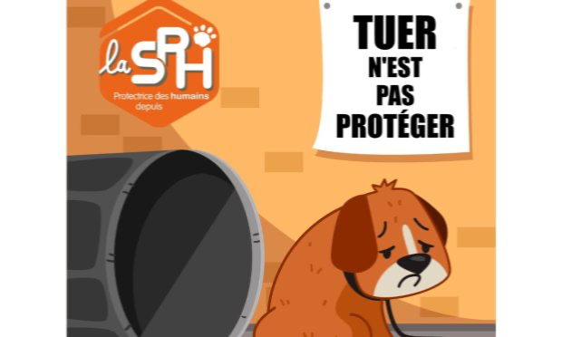 Petition : Après l'euthanasie de Smoke par la SPA, nous demandons la démission de M. Fombonne