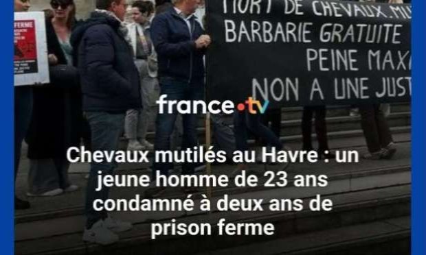Petition : Chevaux, bovins mutilés en France : déploiement de l'armée dans les campagnes et fermeture des sites sataniques sur les réseaux sociaux