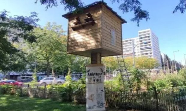 Petition : Un pigeonnier contraceptif à Besançon
