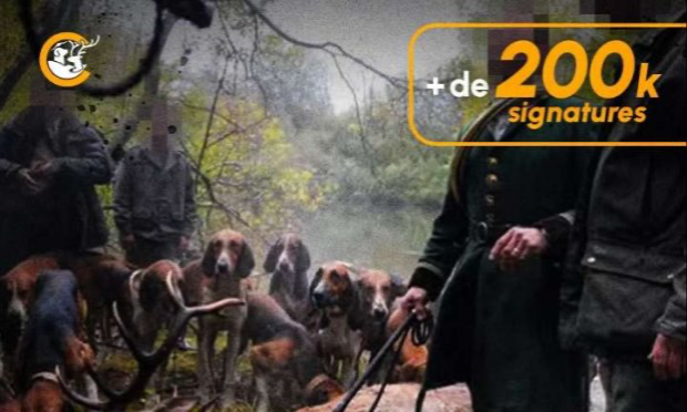 Petition : Pour l'abolition de la chasse à courre
