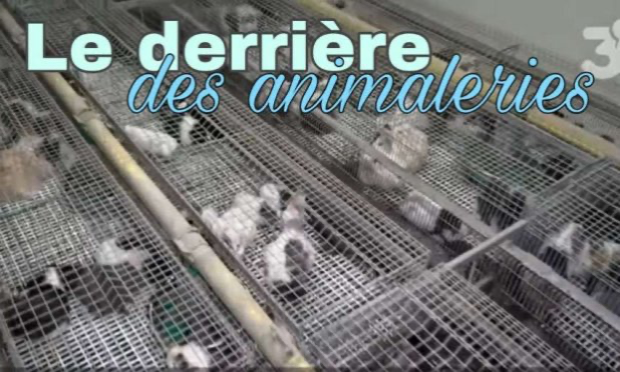 Petition : Animalis à Levallois : NON à la vente des NACS !