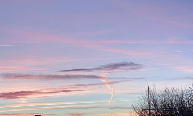 Petition : Pour la liberté de choix entre véhicules thermiques et électriques