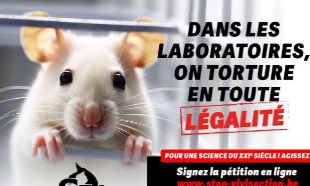 Petition : Signez contre les expérimentations immondes et discutables au niveau scientifique pratiquées en Belgique